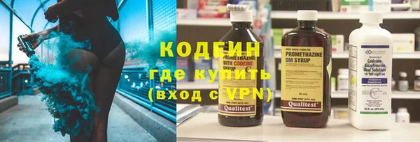 прущие грибы Бородино