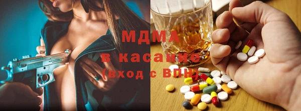 прущие грибы Бородино