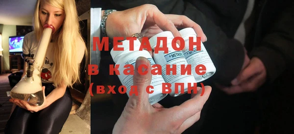 прущие грибы Бородино