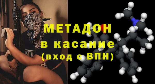 прущие грибы Бородино