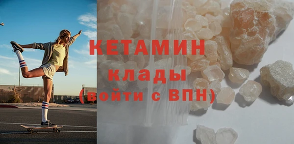 прущие грибы Бородино