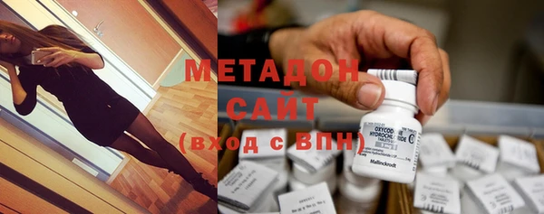 прущие грибы Бородино