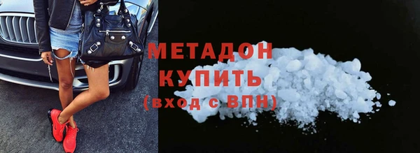 прущие грибы Бородино