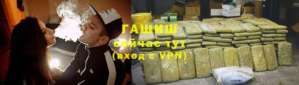прущие грибы Бородино