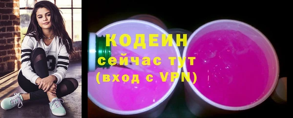 прущие грибы Бородино