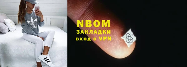 прущие грибы Бородино