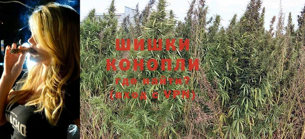 прущие грибы Бородино