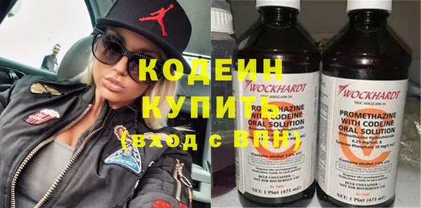 прущие грибы Бородино