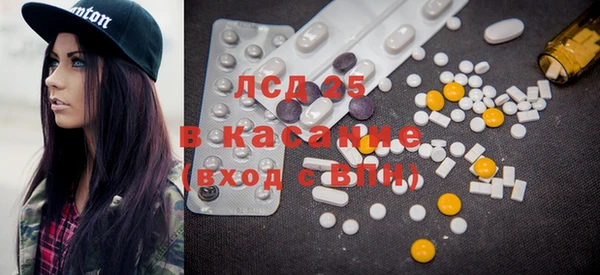 прущие грибы Бородино