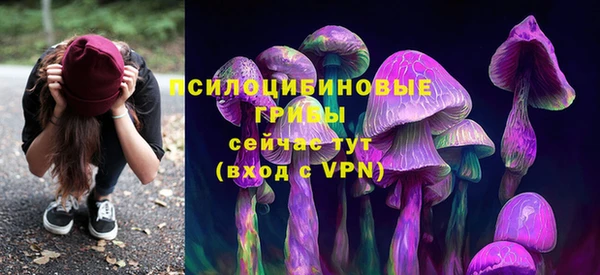 прущие грибы Бородино