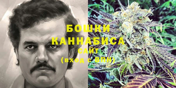 прущие грибы Бородино