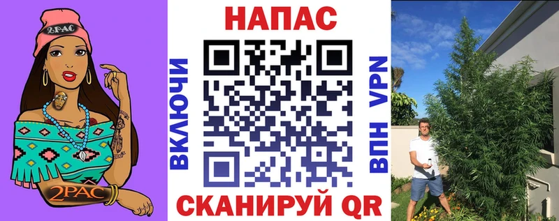 Канабис конопля Дегтярск